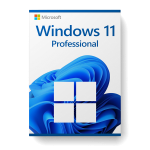 Microsoft Windows 11 Professional  license for 3 devices